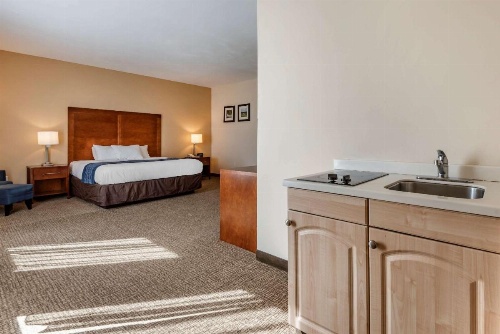 Comfort Inn Apalachin / Binghamton W Route 17 image 32