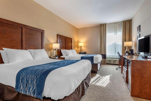 Comfort Inn Apalachin / Binghamton W Route 17 image 36