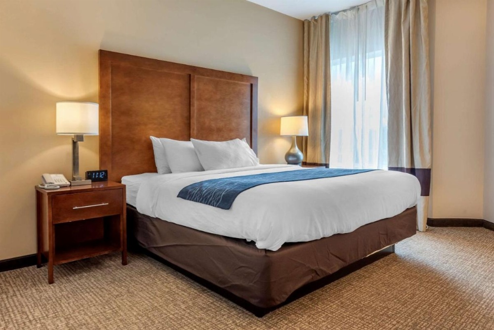 Comfort Inn Apalachin / Binghamton W Route 17 Image 38