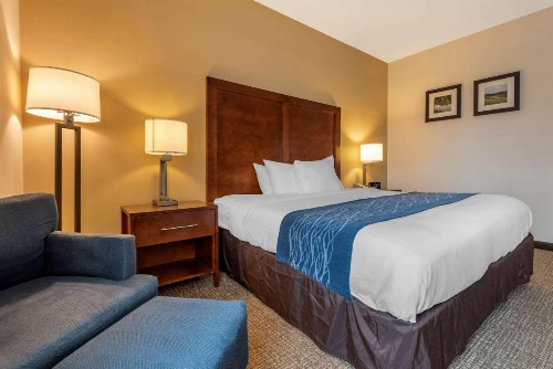 Comfort Inn Apalachin / Binghamton W Route 17 image 46